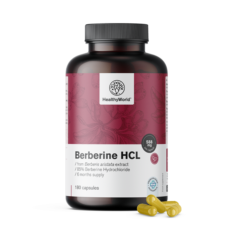 Berberin HCL 500 mg aus dem Extrakt von Berberis aristata