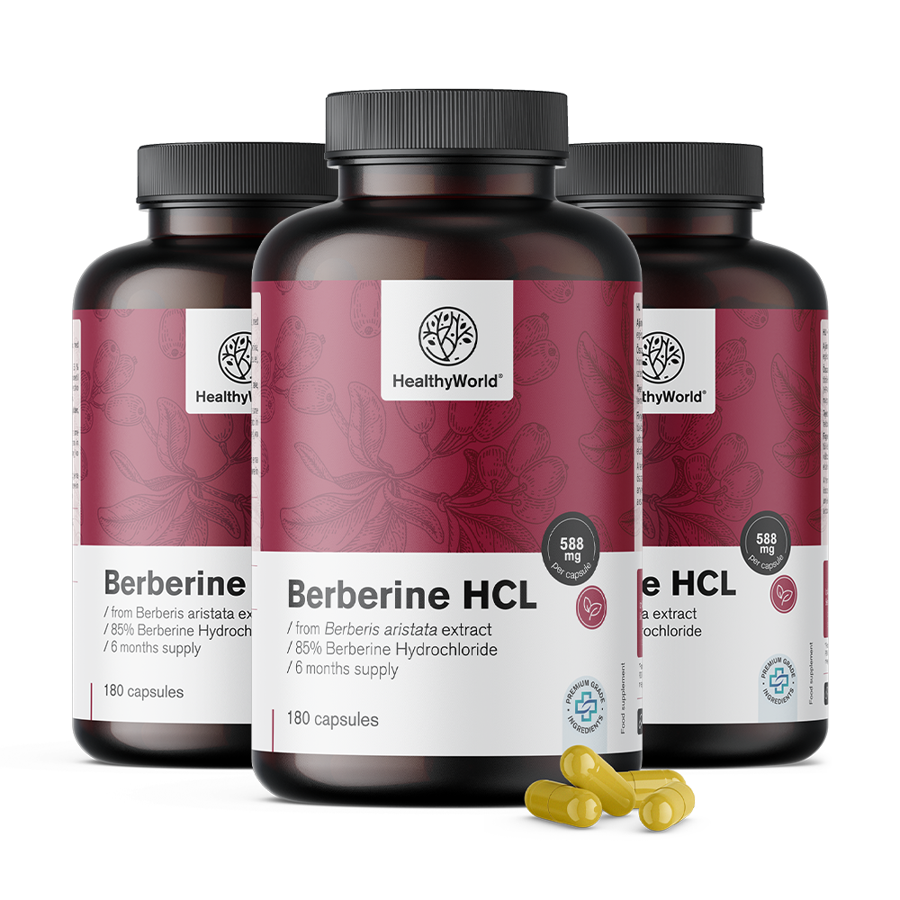 Berberin HCL 500 mg aus dem Extrakt von Berberis aristata