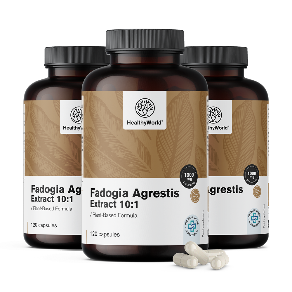 Fadogia Agrestis 1000 mg in Kapseln.