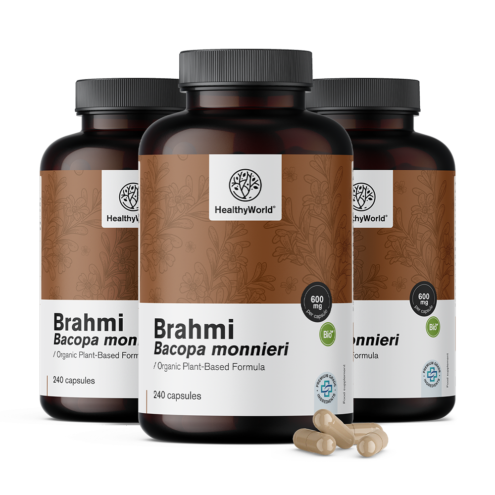 BIO Brahmi 600 mg in Kapseln