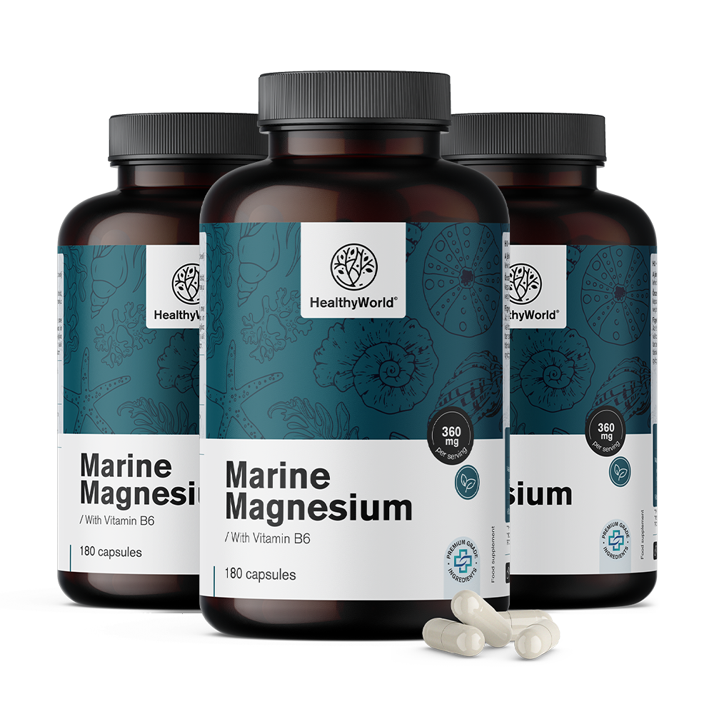 Meeresmagnesium 360 mg