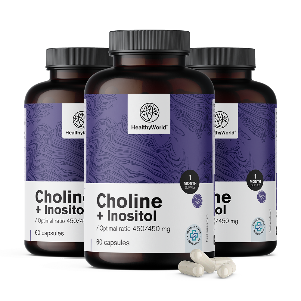 Holin-Inositol 450/450 mg